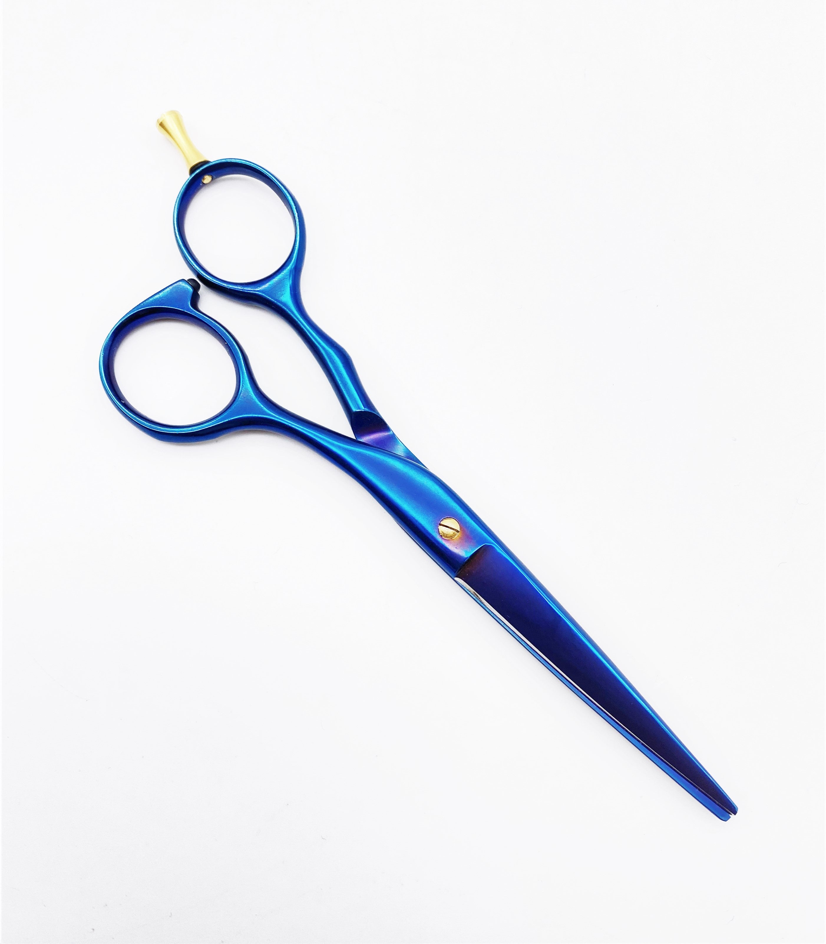 NTS Haarschere Ergo Blau Titan Line 5,5" NTS Haarschere Ergo Blau Titan Line 5,5"