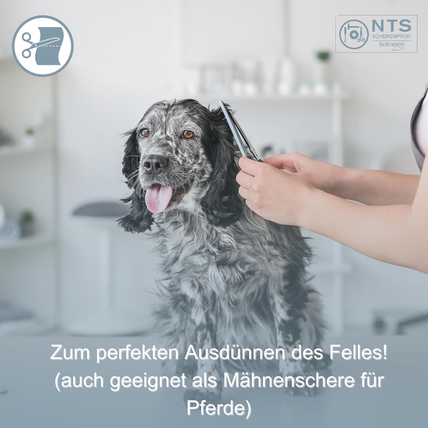 NTS Hundeschere Effilierschere rostfei, 30 Zähne einseitig