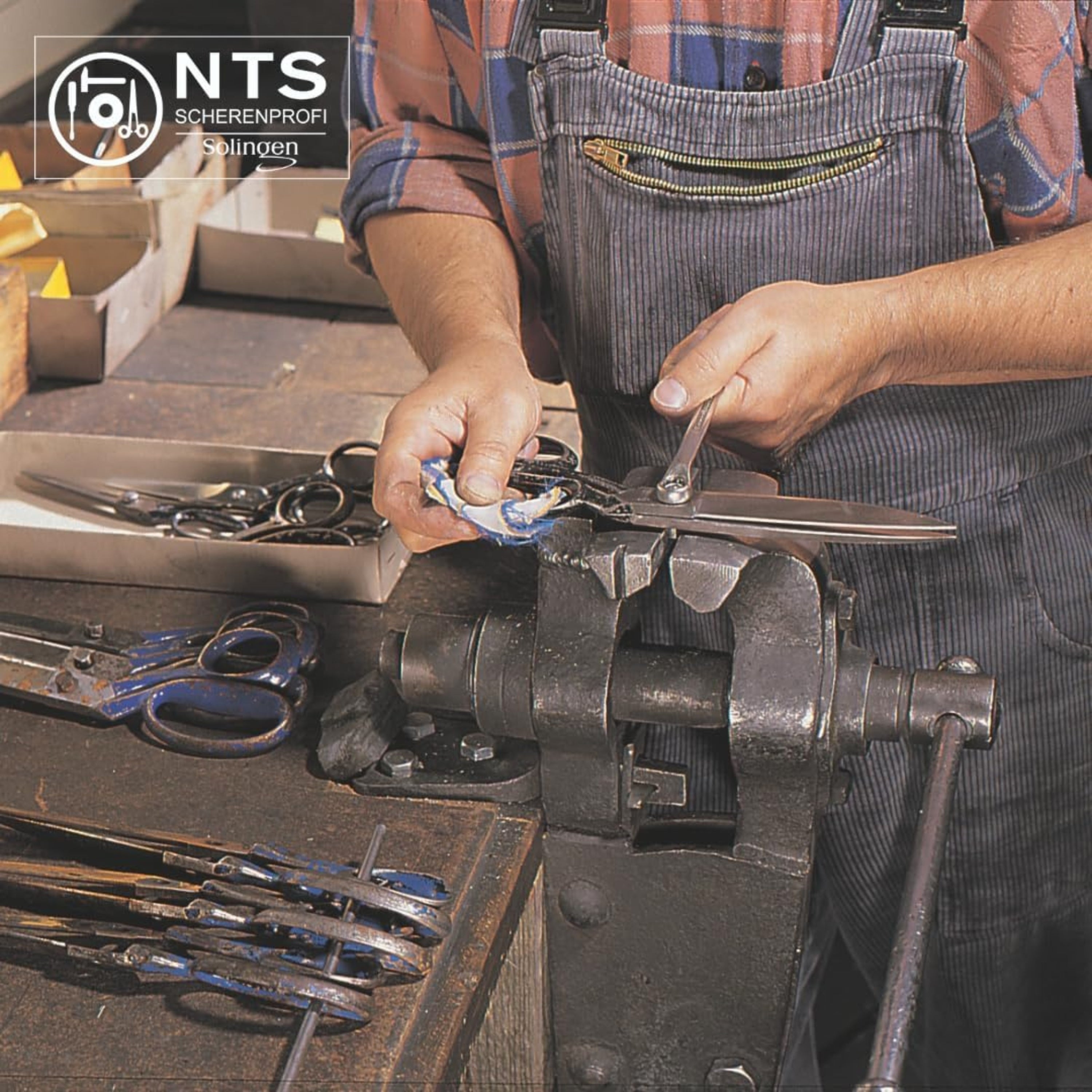 NTS Tijeras de entresacar para perros dog-Pet-Line, satinadas 6" 30 dientes en ambos lados