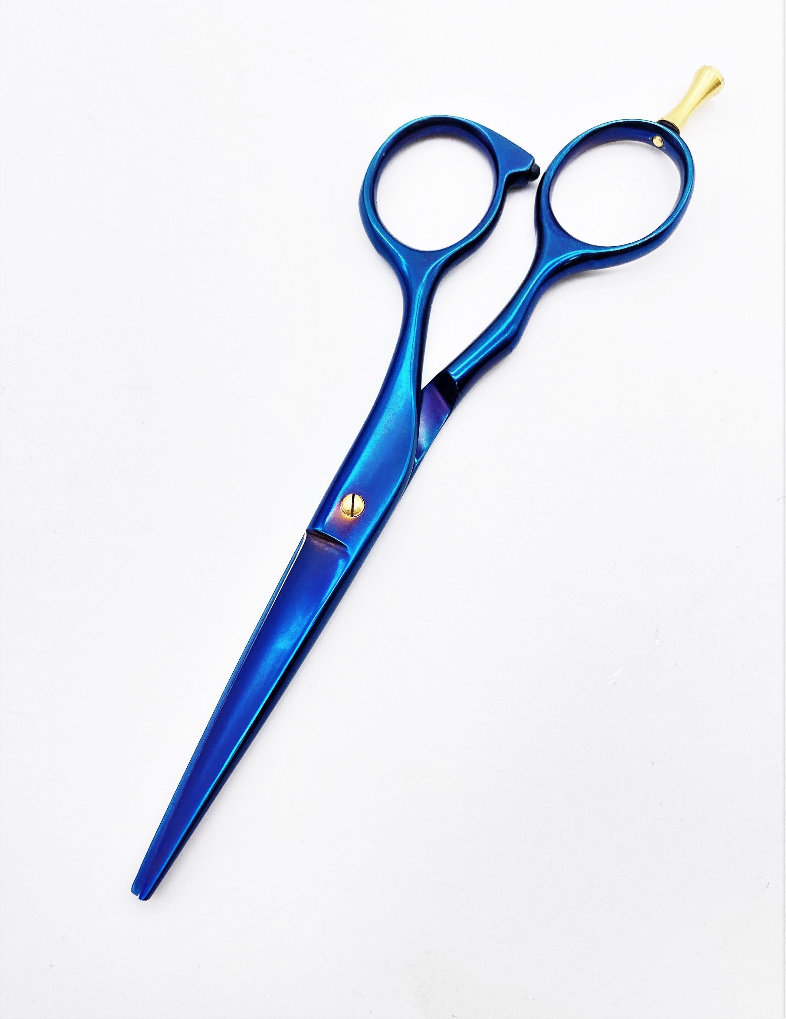 NTS Haarschere Ergo Blau Titan Line 5,5" NTS Haarschere Ergo Blau Titan Line 5,5"