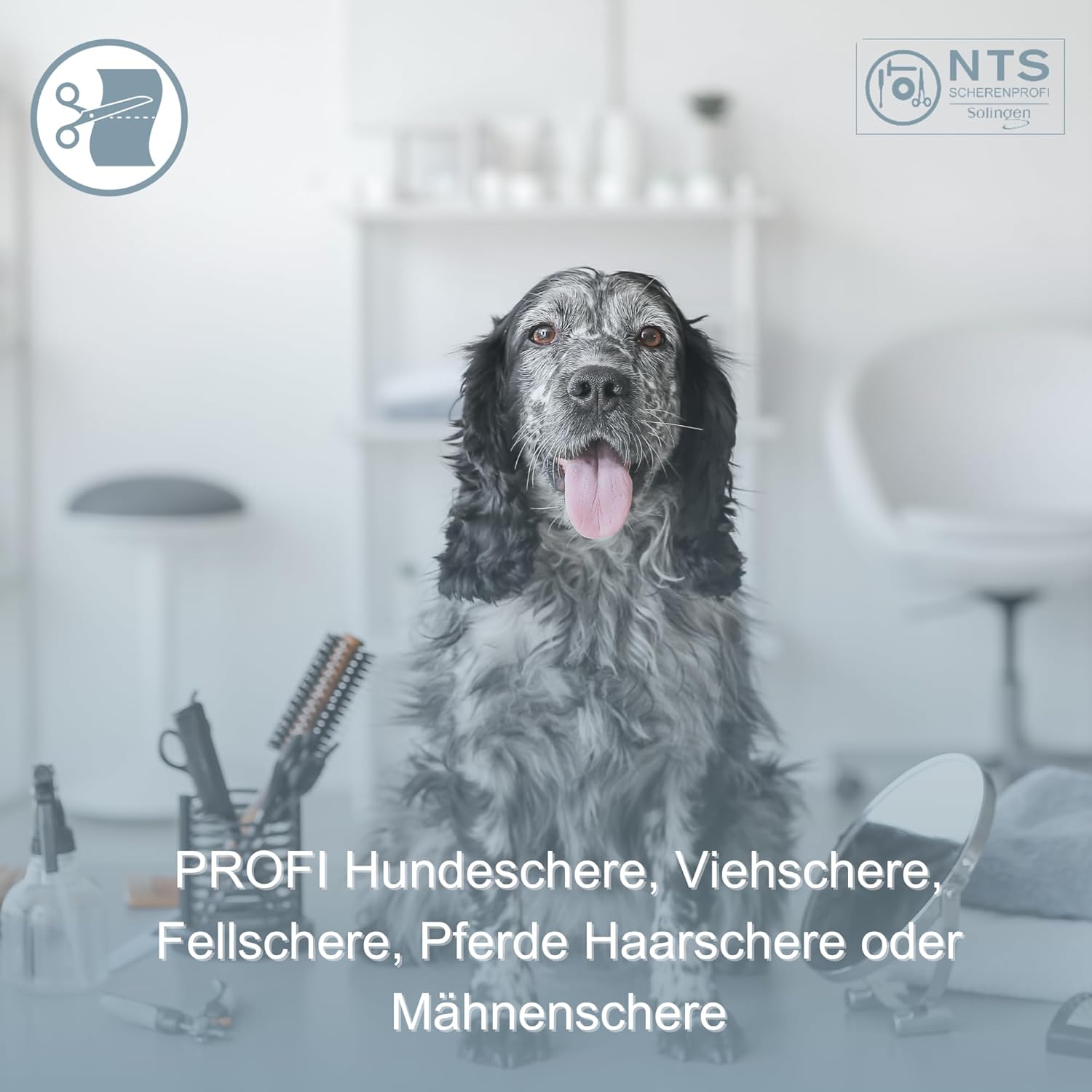 NTS Hundeschere 6,5" NTS Hundeschere 6,5"